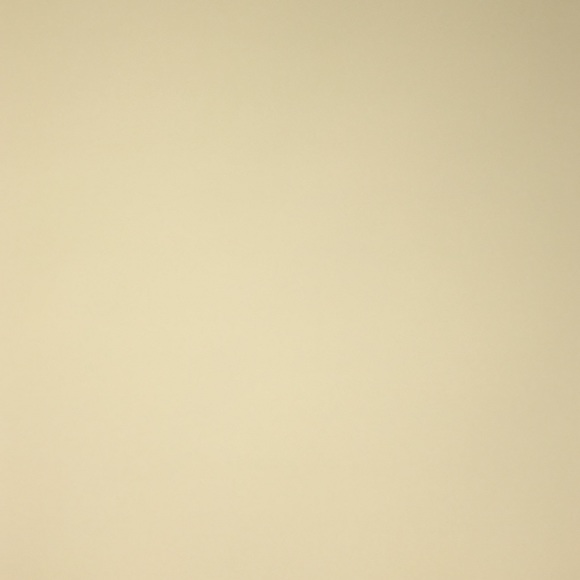 Meet your Posher, Ani