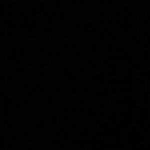 Meet your Posher, Ali