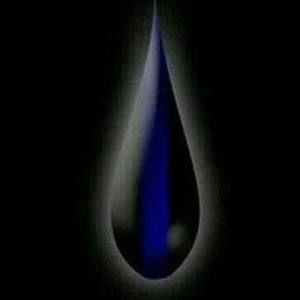 Meet your Posher, Adrian