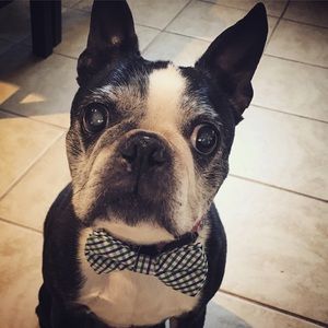 Meet your Posher, Tracey