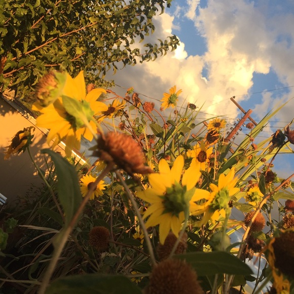 Meet your Posher, Jen