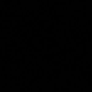 Meet your Posher, Drake