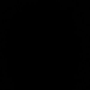 Meet your Posher, Dorothy