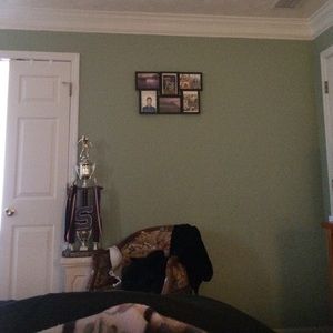 Meet your Posher, Fanny