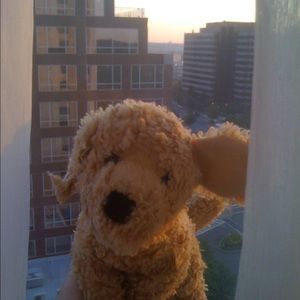 Meet your Posher, April