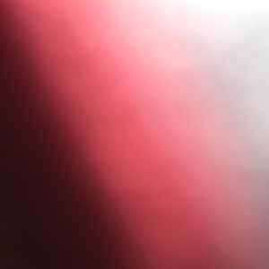 Meet your Posher, Bob