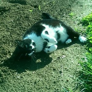 Meet your Posher, Kelsey