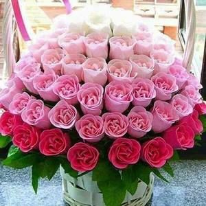 Meet your Posher, Tonya