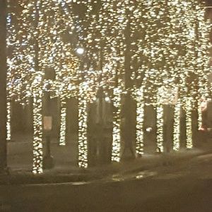 Meet your Posher, Tamara