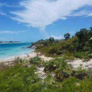 Meet your Posher, Jeannine