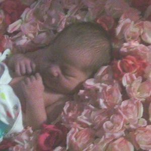 Meet your Posher, Terrie