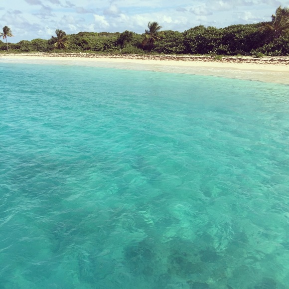 Meet your Posher, Lindsey - Picture 1 of 1