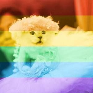 Meet your Posher, Nathan