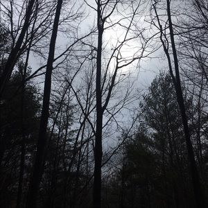 Meet your Posher, Sierra