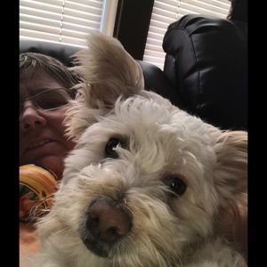 Meet your Posher, Donna