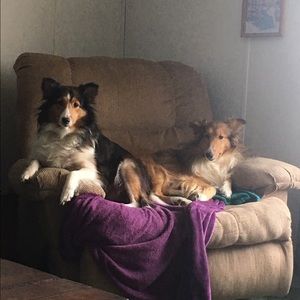 Meet your Posher, Michelle