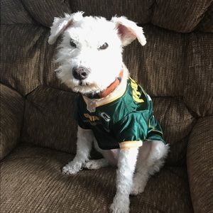 Meet your Posher, Annette