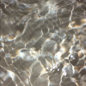 Meet your Posher, Gabby