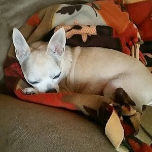 Meet your Posher, Barbara