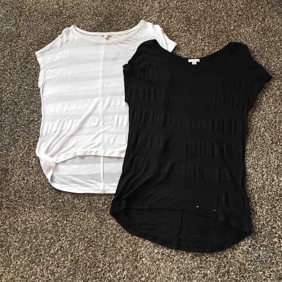 Summer short Sleeve shirts.