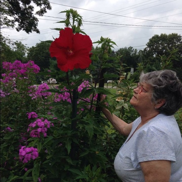 Meet your Posher, Shelly - Picture 3 of 3