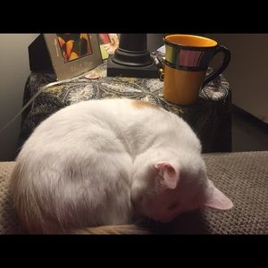 Meet your Posher, Kim