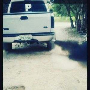 Meet your Posher, Guillermo