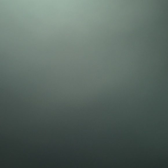 Meet your Posher, Avery - Picture 1 of 1