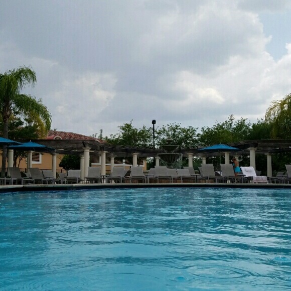 Meet your Posher, Holly