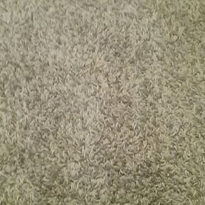 Meet your Posher, Vega