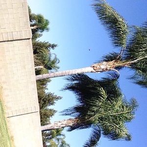 Meet your Posher, Divya