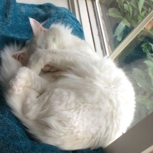 Meet your Posher, Sara