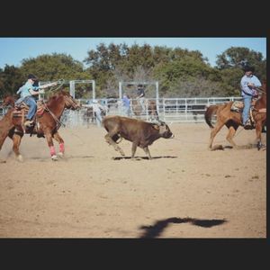 Meet your Posher, Tyler