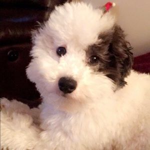 Meet your Posher, Caitlin