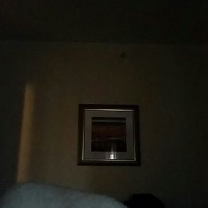 Meet your Posher, Mia