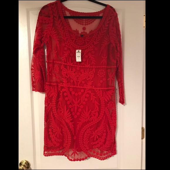 Express lace over lay dress