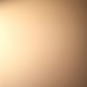 Meet your Posher, Dayanara