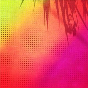 Meet your Posher, Shauna