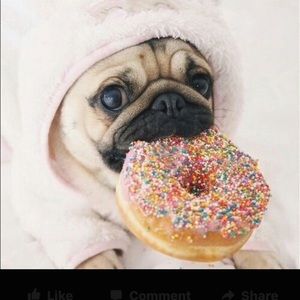 Meet your Posher, Karen