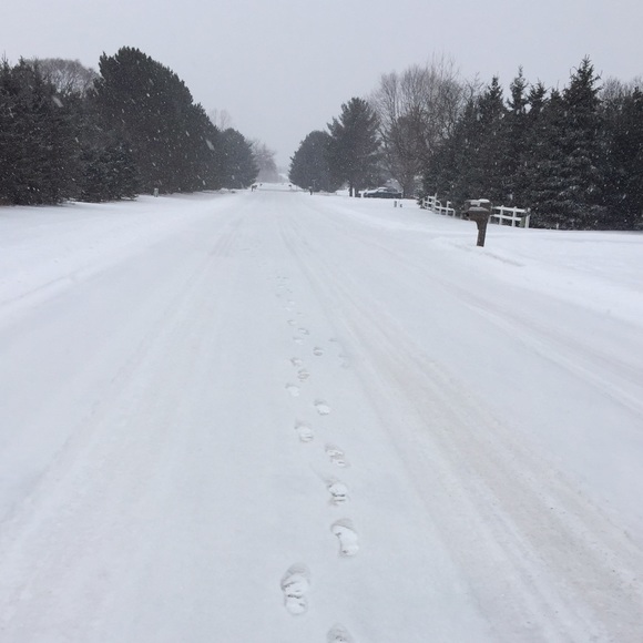 Meet your Posher, Ayla