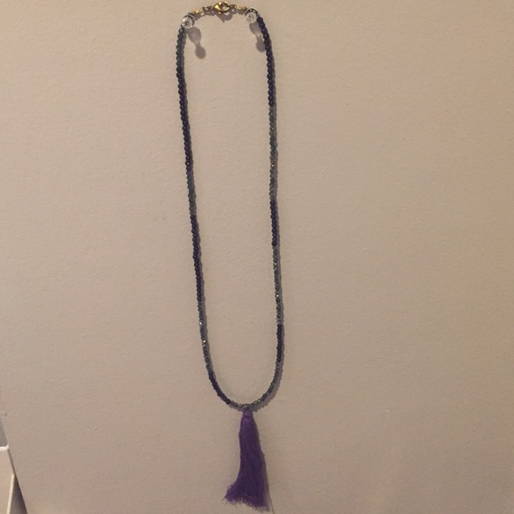 BLUE GLASS BEADS WITH PURPLE FRINGE NECKLACE