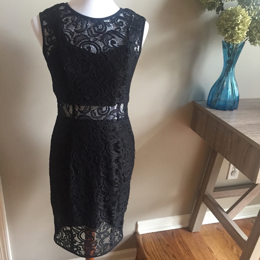 Xoxo lace contrast sheath dress.