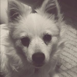 Meet your Posher, Sami