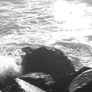 Meet your Posher, Ann