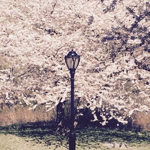 Meet your Posher, Shell