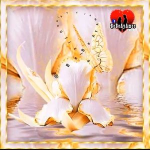 Meet your Posher, Norma