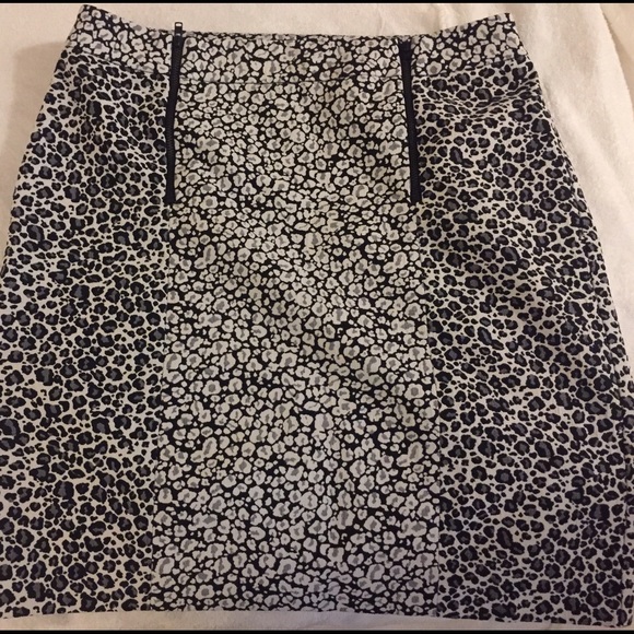 Ann Taylor skirt