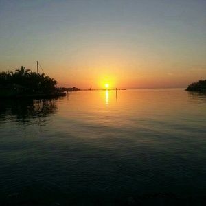 Meet your Posher, Cathy