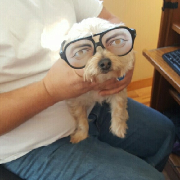 Meet your Posher, Nichole - Picture 1 of 1