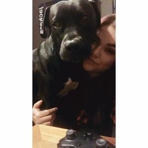 Meet your Posher, Randi